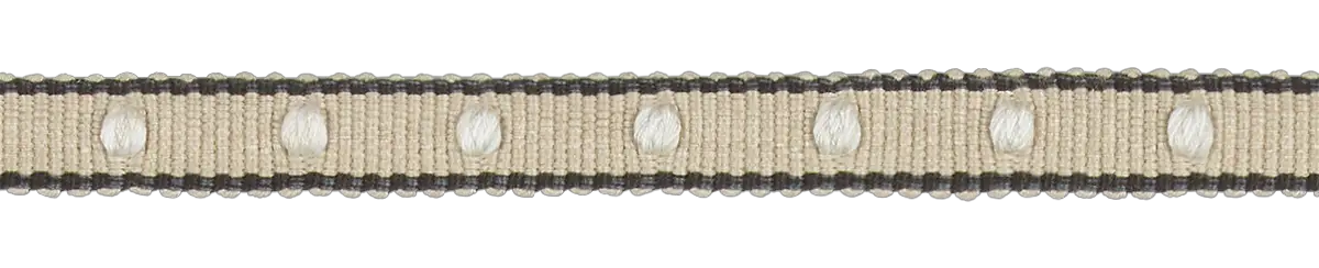 Photo of Narrow Spot Braid