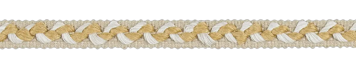 Photo of Narrow Twisted Braid