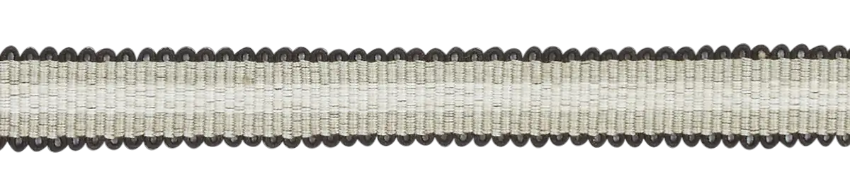 Photo of Narrow Stripe Braid with Loop Edges